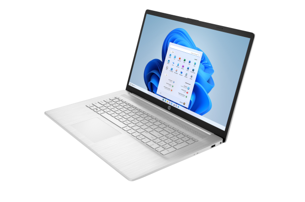 HP 250 11